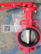 雷力不銹鋼蝶閥 雷力不銹鋼蝶閥