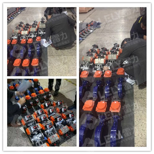 熱烈歡迎上海領(lǐng)導(dǎo)蒞臨雷力閥門指導(dǎo)并驗(yàn)貨