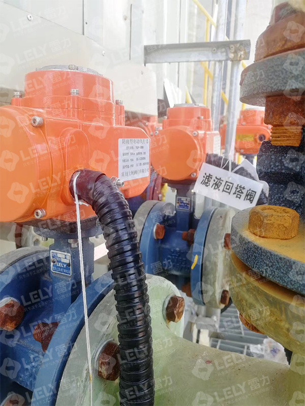 脫硫蝶閥,脫硫?qū)Ｓ玫y,雷力脫硫蝶閥