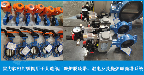 雷力軟密封蝶閥首頁(yè)成功案例.jpg