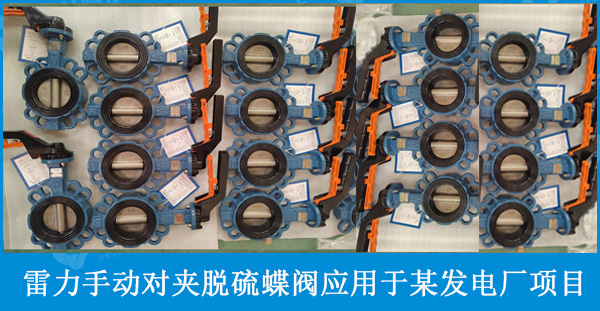 雷力1.4529手動(dòng)對夾脫硫蝶閥應(yīng)用于山西某發(fā)電廠