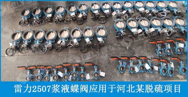 雷力2507漿液蝶閥應(yīng)用于河北某脫硫項(xiàng)目